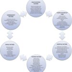 Factors Influencing Hospital Readmission Rates