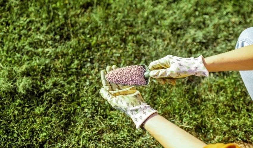 Agway 4-Stage Lawn Care Program: Achieve a lush, green lawn with our comprehensive seasonal treatment plan.