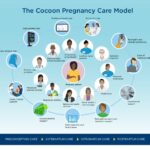 Cocoon Pregnancy Care Model involves participation of professionals from many clinical and non-clinical fields.