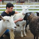 Markus Goss, a student at Green Chimneys, pictured with goats, showcasing his role as a teaching barn apprentice in an animal care program for special education.