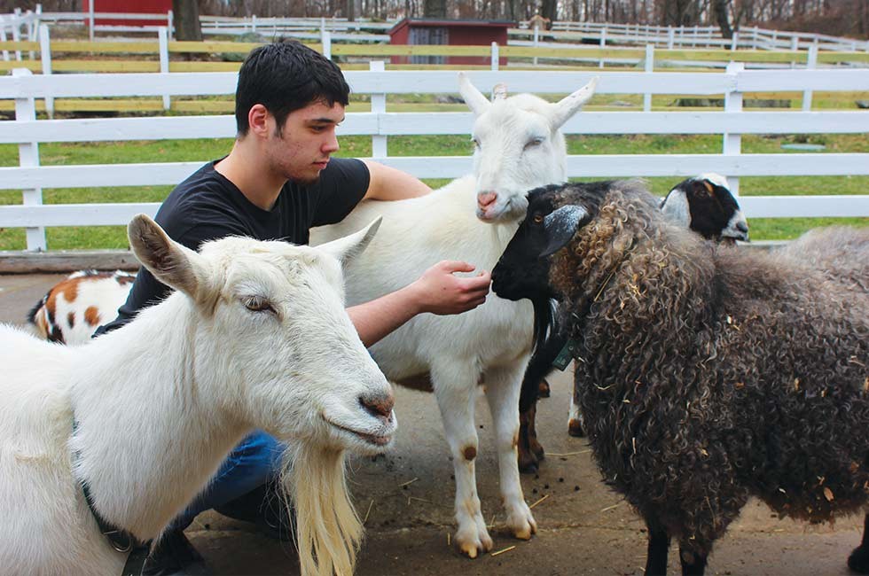 Markus Goss, a student at Green Chimneys, pictured with goats, showcasing his role as a teaching barn apprentice in an animal care program for special education.