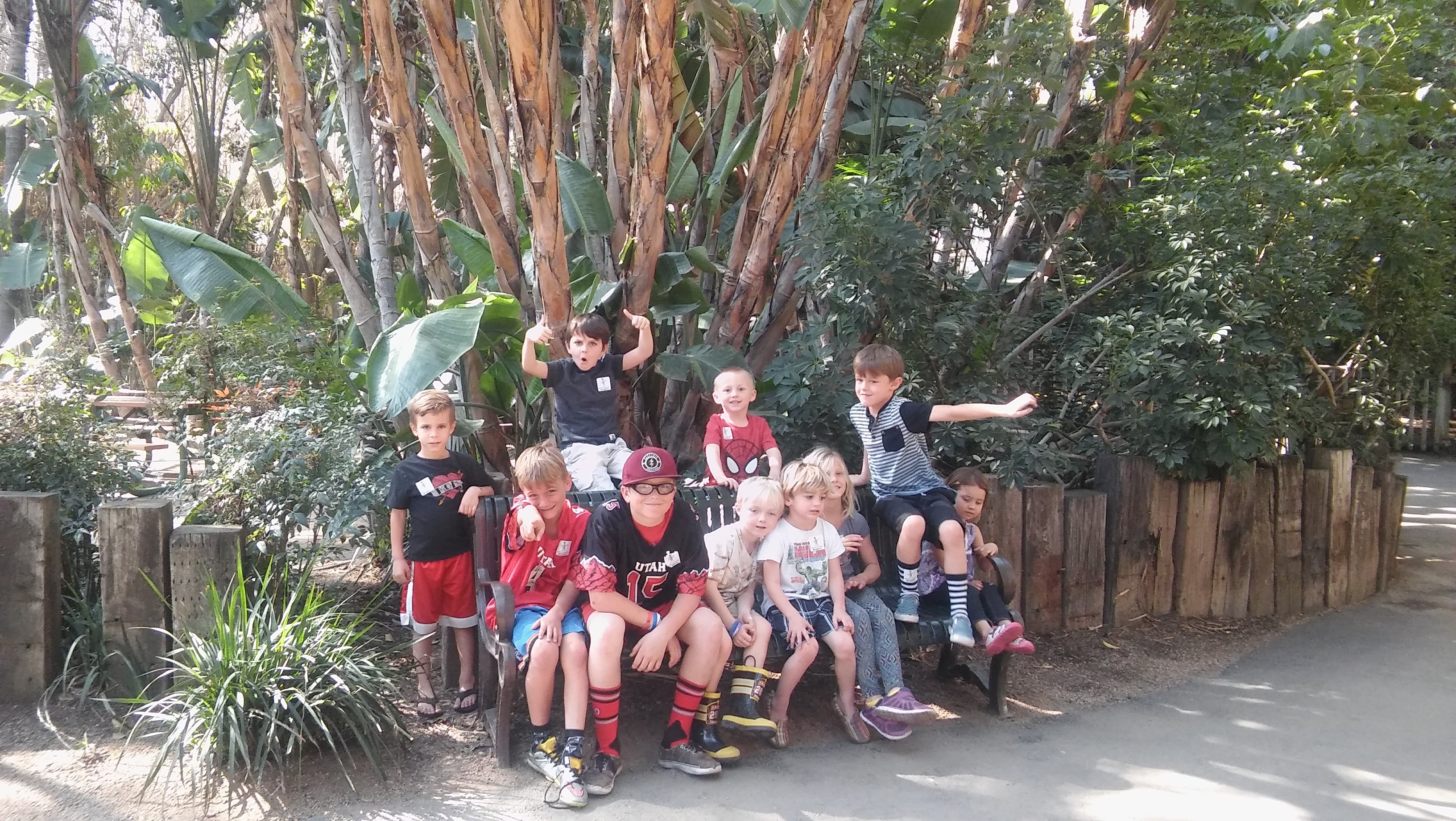 Group photo of happy children and teachers at Ardenwald Preschool