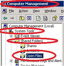 Use Computer Management -> System Tools -> Shared Folders -> Open Files to find out who has a document locked