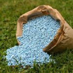 Zamzows DIY lawn care program fertilizer application schedule