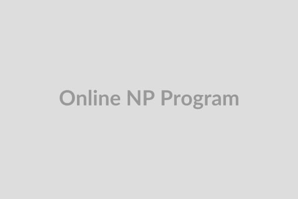 Online learning environment representing flexibility and accessibility of online NP programs