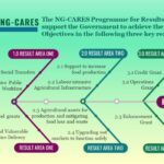 Overview of NG-CARES Program Result Areas, highlighting social transfers, food security, and MSE recovery