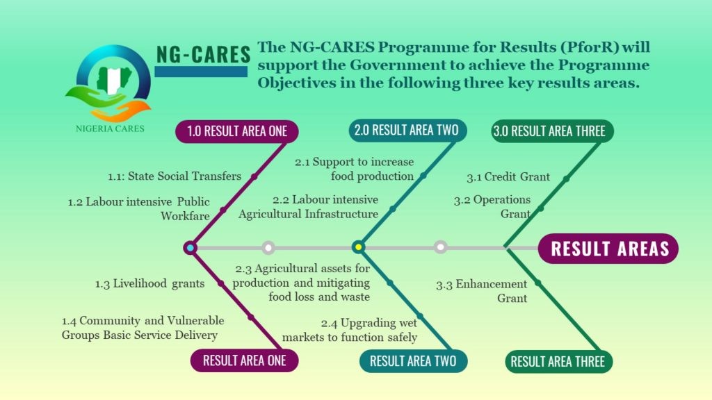 Overview of NG-CARES Program Result Areas, highlighting social transfers, food security, and MSE recovery