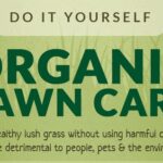 Organic Lawn Care