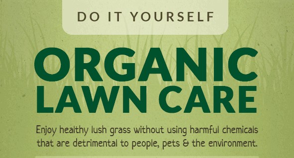 Organic Lawn Care