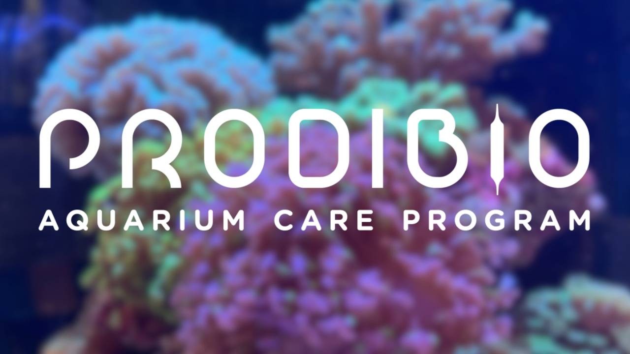 Prodibio Aquarium Care Program for Healthy Fish Tanks